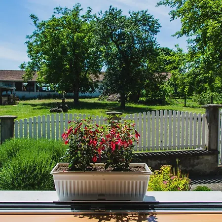 Villa Smestaj Cair Balajnac